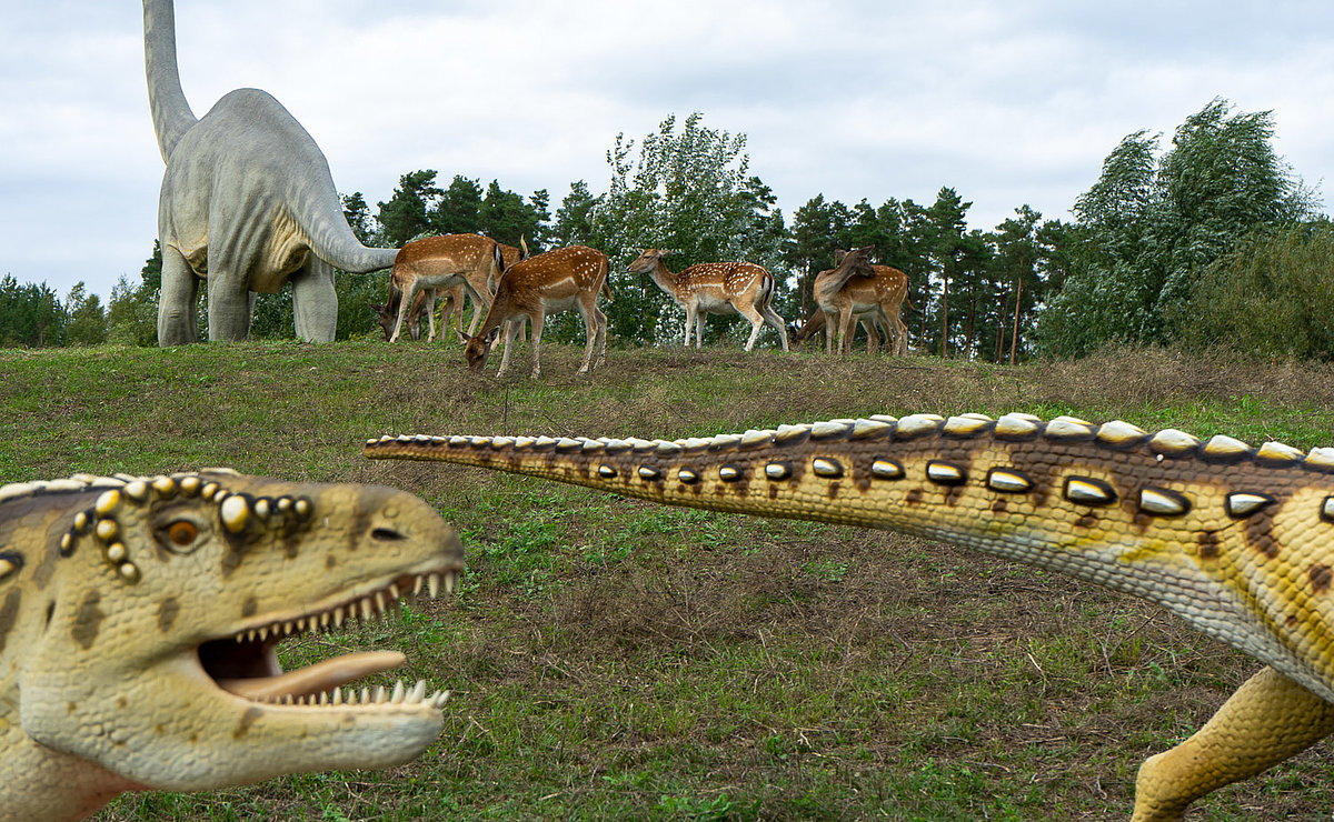 Saurierpark Teilbereich