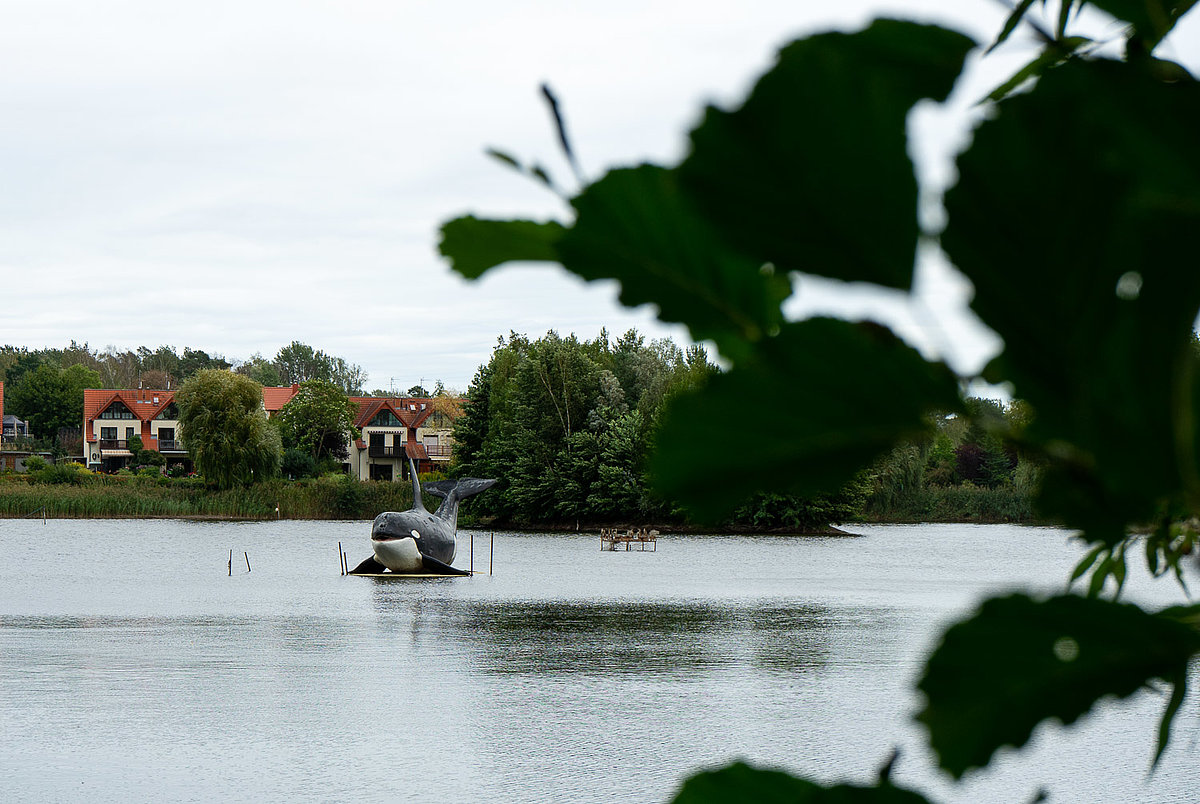 Tier- Freizeit- und Saurierpark