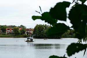 Tier- Freizeit- und Saurierpark