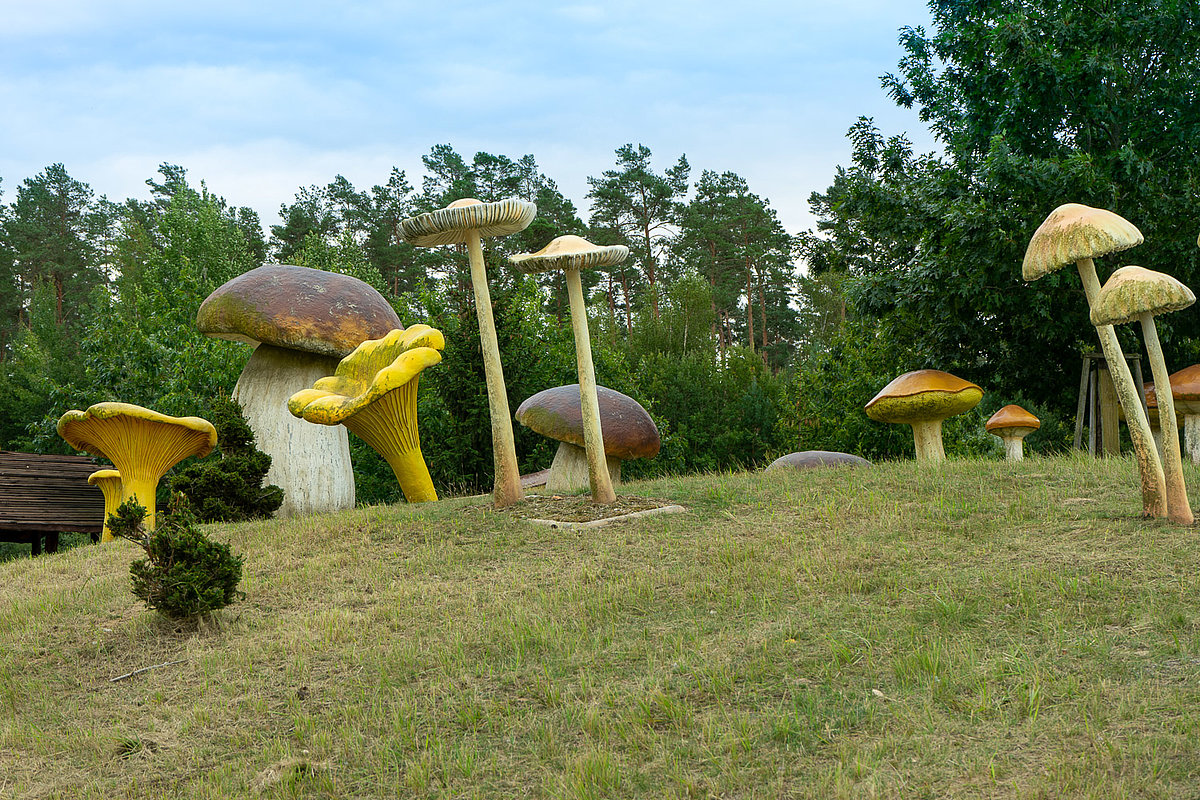 Saurierpark Teilbereich