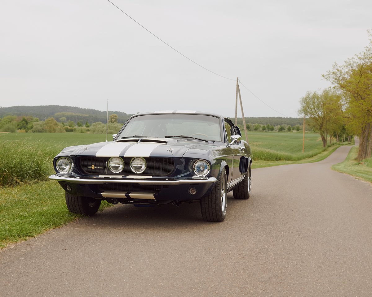 Ford Mustang Fastback GT 500 Shelby