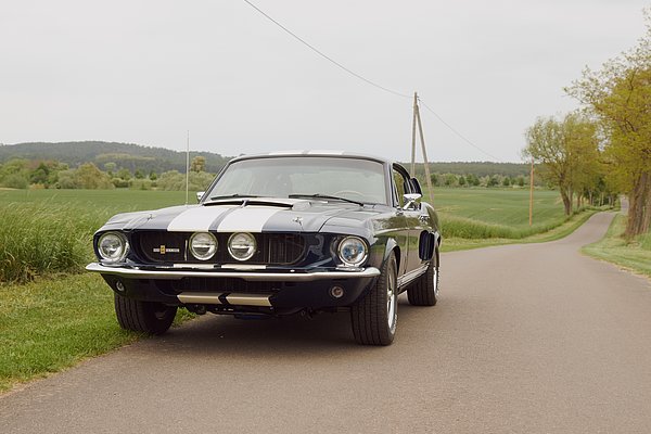 Ford Mustang Fastback GT 500 Shelby