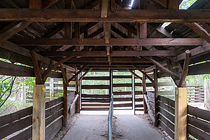 Tierpark Teilbereich