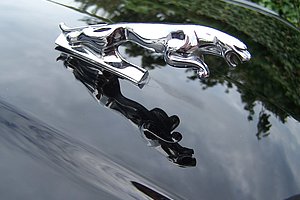 englisches Auto, Fast-Oldtimer, Jaguar XJ 81 Daimler Double Six