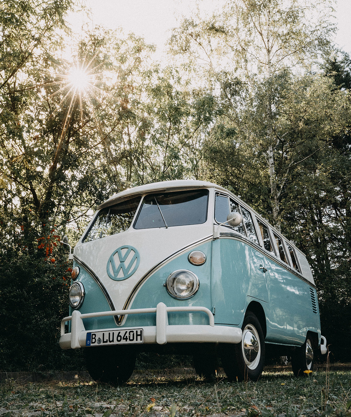 VW T1
