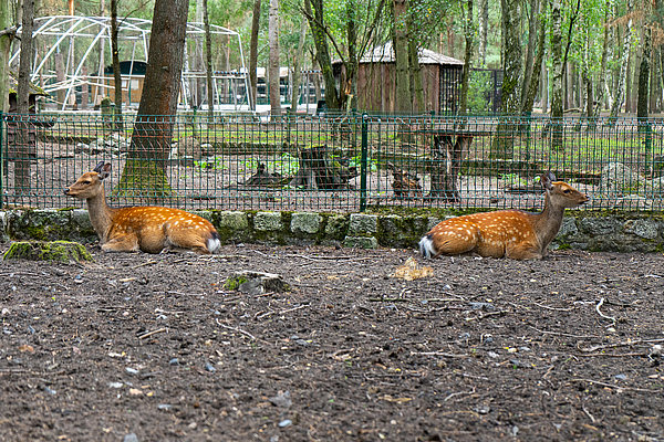 Tierpark Teilbereich