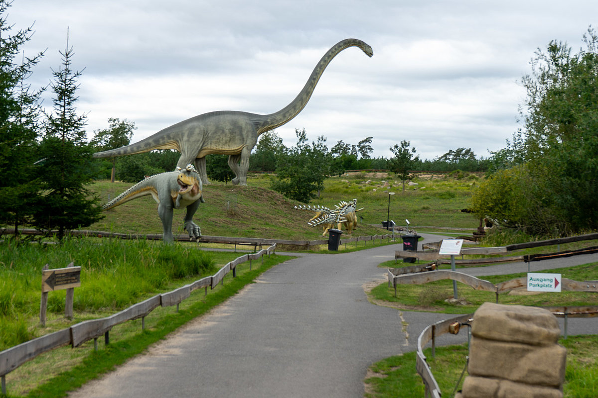 Saurierpark Teilbereich