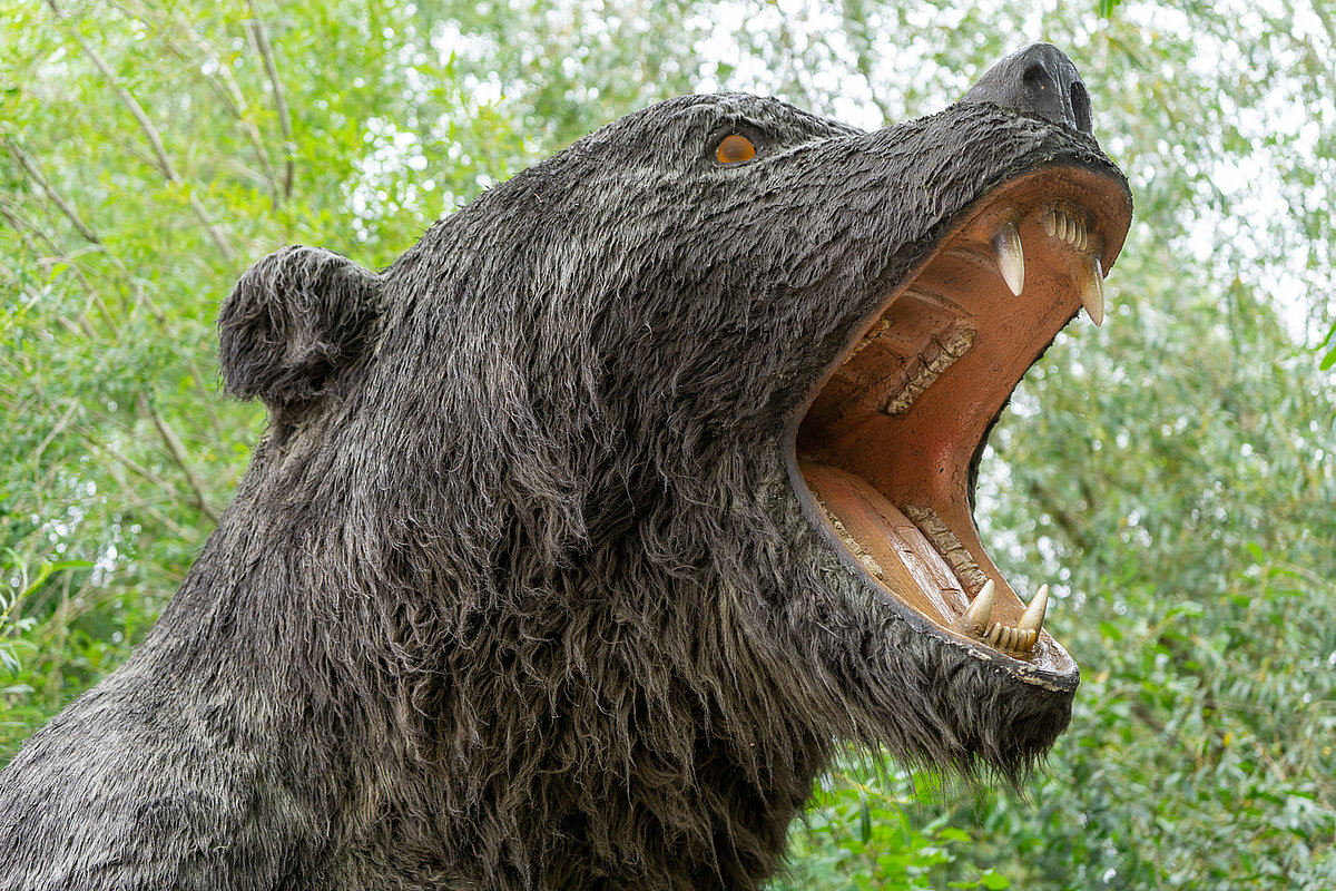 Saurierpark Teilbereich