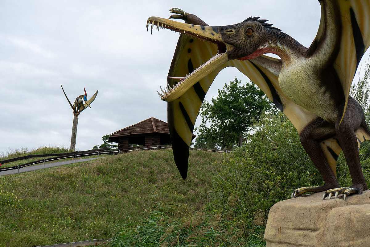 Saurierpark Teilbereich