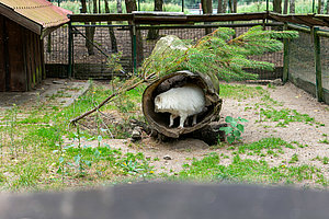 Tierpark Teilbereich