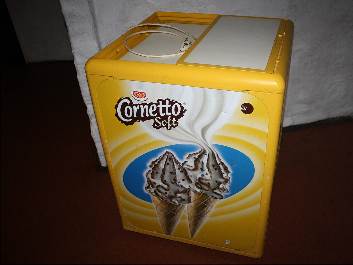 Kühlschrank / Eistruhe